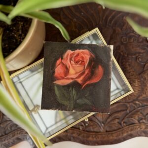 rose color study no. 001