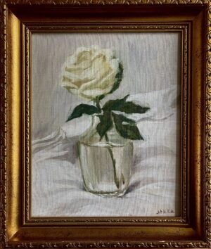a white rose